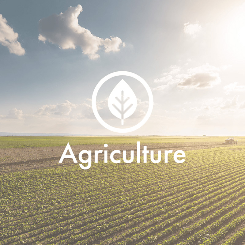 Agriculture